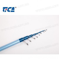 Болонезе TICA Accent Bolo BLS 30гр 5м