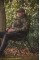 Шаранджийски стол SOLAR UNDERCOVER CAMO FOLDABLE EASY CHAIR-HIGH
